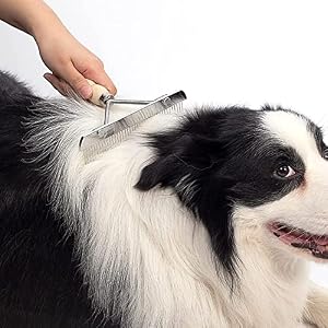 Dog Rake for Undercoat Long Tooth Dogs Comb, Rake Brush+Stainless Steel Shedding Comb, Husky Undercoat Rake Grooming Tool Set for Big Dog Horse Longhair Cat (Beige) Dog Rake for Undercoat Long Tooth Dogs Comb, Rake Brush+Stainless Steel Shedding Comb, Husky Undercoat Rake Grooming Tool Set for Big Dog Horse Longhair Cat (Beige)
