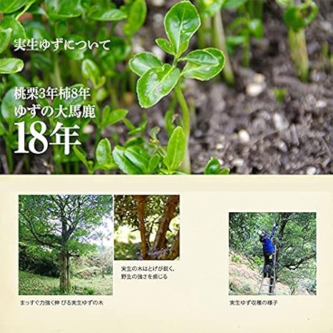 Amazon とんがりゆず 1ml 3本 さめうらフーズ 実生純朴ゆず 土佐れいほく産の希少な実生柚子手しぼり果汁100 皮付きのユズ を丸ごとしぼった味わい豊かな柚子の風味 余計な苦みや不純物の少ないゆず酢 さめうらフーズ 食品 飲料 お酒 通販