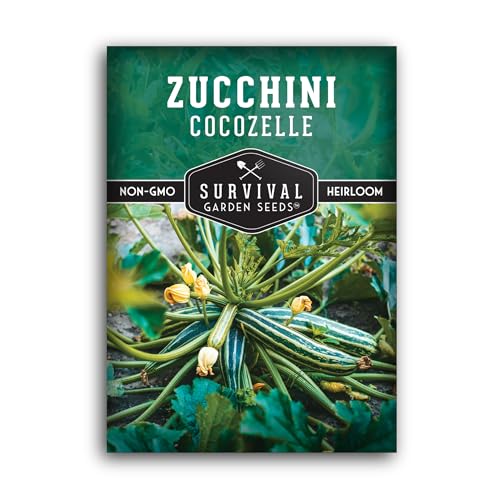 Cocozelle Zucchini Seeds for Planting – Classic Italian Heirloom Summer Squash, High-Yield Bush Plants with Striped Green Zucchinis – Non-GMO & Open-Pollinated – Survival Garden Seeds (1 Pack)