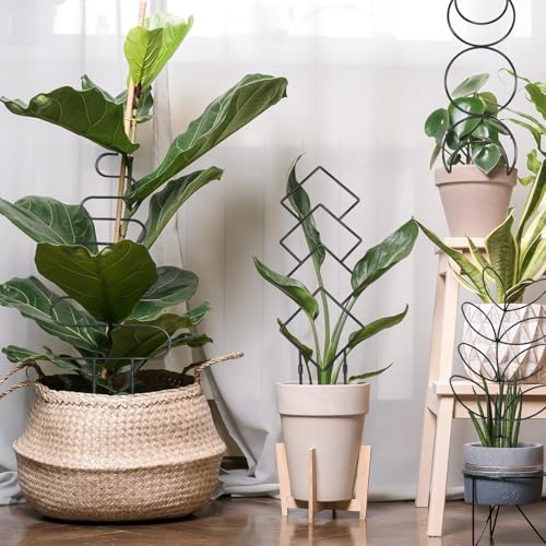 Image of 23in Plant Trellis for Climbing Plants Indoor, 4 Shapes