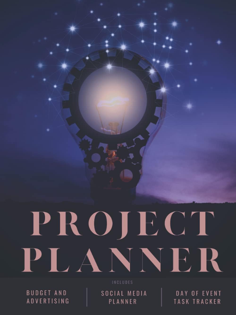 Director Bae Event & Project Planner (Hardcover): Advertising, Budget, Social Media and Day of Event Tracker