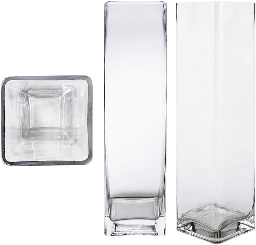 Square Cube 4 Inch x 16 Inch, Decorative Clear Glass Vase with Sturdy Base, Wedding Centerpieces, Flower Bouquets, Home Decor, Celebrations, Parties, Event Planning, Arts & Crafts