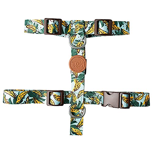 Conjunto Peitoral H e Guia, Banana, PP, Toh