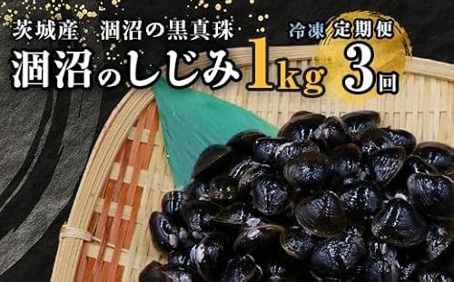 453 しじみ 定期便 1kg 冷凍 砂抜き 500g × 2袋 × 3回 ひぬま やまと シジミ 涸沼 大和 [3ヶ月連続お届け]