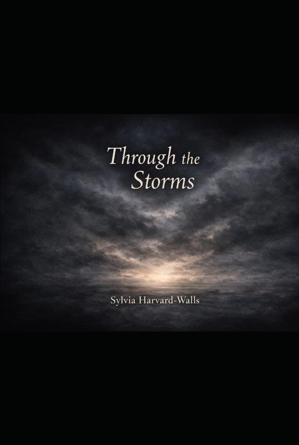 THROUGH THE STORMS