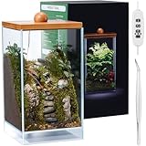 13.7H+7.8W Desktop Glass Plant Terrarium with Light, Large Propagation Station for Succulent, Moss, Miniature Gardening Landscape, Betta Fish Tank
