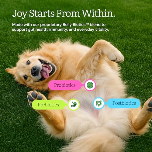 Get Joy Freeze Dried Dog Food | Beef Recipe with Superfoods for Gut Health & Digestion | Vet Formulated Meal or Topper for Puppy, Senior & Adult Dogs, 100% USDA Sourced, Seed Oil Free | 4oz Bag - Image 4