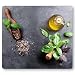 Produktbild KESPER | Multi-Glasschneideplatte/Herdabdeckplatte/Herdblende, Material: ESG-Sicherheitsglas, Maße: 56 x 50 x 0,8 cm, Motiv: Basil, Farbe: Grau, Grün, Braun | 36584 13