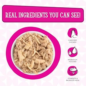 Weruva Canines in The Kitchen, Fowl Ball with Rooster Breast & Turkey Au Jus Canine Meals, 10oz Can (Pack of 12)