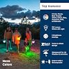 LuminAID Nova Colors Solar Camping Lantern - Twist-to-Inflate LED Lamp with 8 Color Modes Perfect for Camping, Hiking, Travel and More - Emergency Light for Power Outages, Hurricane, Survival Kits #1
