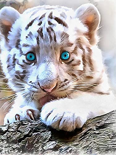 Aiishow Diamond Painting Animaux Accessoires, DIY Broderie Diamant Kit Complet Tigre, Adultes Strass Point De Croix Kit Pour Maison Salon Chambre Décoration Murale Artisanat 30×40cm Cover