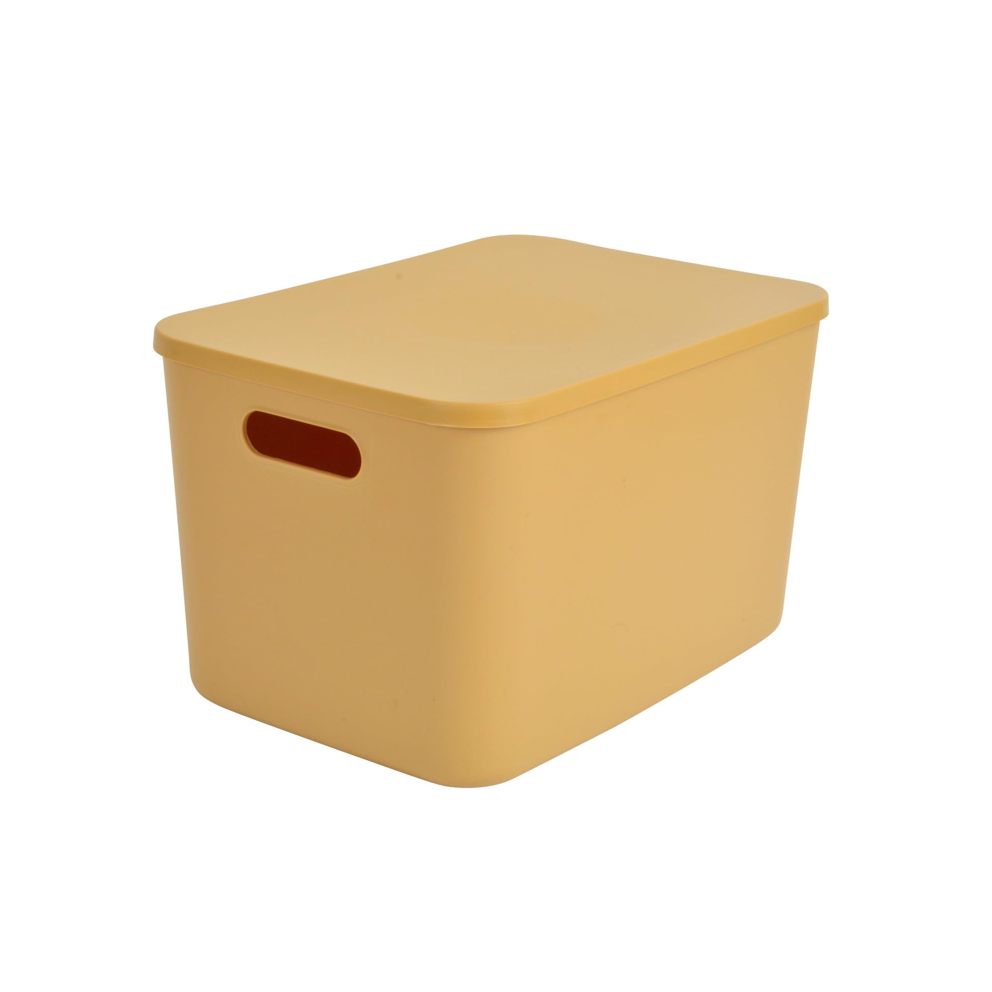 Homéa, Box with Lid Plastic 15.5L 35X25Xh.21.5Cm Ochre