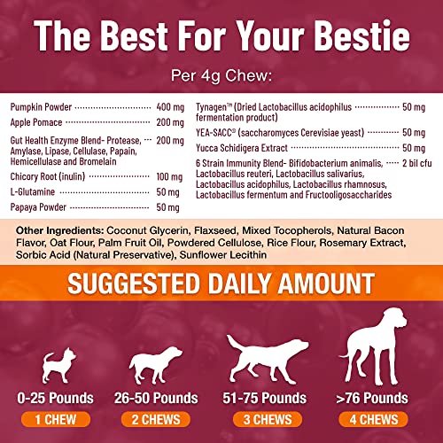Doctor Doggo Probiotics For Dogs - 90 Pumpkin For Dogs Soft Chews - Digestive Enzymes For Gut Health - Vet Approved Dog Probiotic Bites For Digestion, Constipation And Dog Gas Relief #TOP5