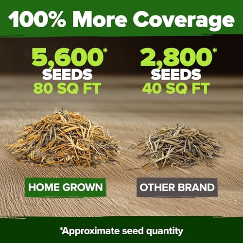 Image of HOME GROWN Marigold Seeds Bulk Mix - 5600+ Crackerjack Marigold Flower Seeds for Planting Outdoors -Flowers Seed for Companion Planting -Wildflower African Marigold(Tagetes erecta)