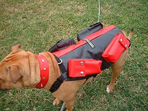 Full Body Weighted Dog Vest Weights On All 4 Legs More Effective Workout