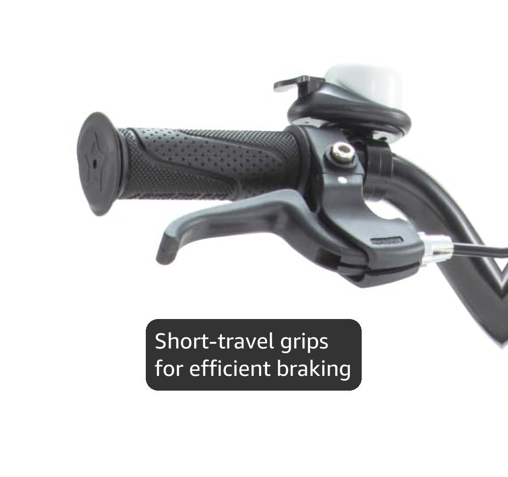 RoyalBaby Kids Bike EZ Balance to Pedal Dual Handbrake Toddlers Boys Girls Bicycle 12-20 Inch for Age 3-10 Years