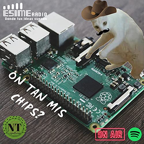 Pero en &iquest;donde estan los chips ?