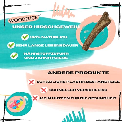 Hirschgeweih für Hunde | Größe L Hunde von 20 bis 30 Kg | Natürliche Zahnreinigung | Langanhaltender Kauspaß | 100% Natürliche Mineralienquelle | Stressabbau | Futtermittelunverträglichkeiten