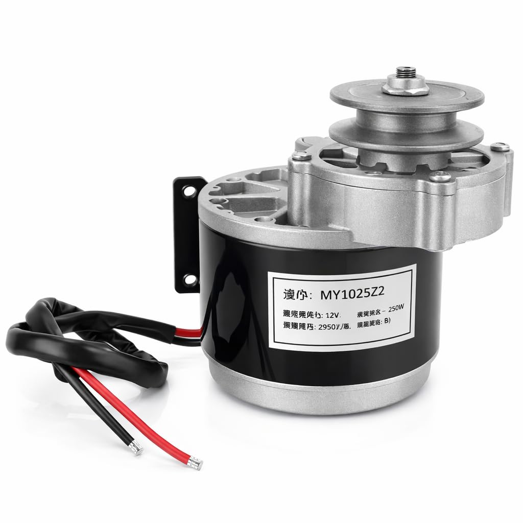 Electro Motor 12V 250W Gear Motor Brush Motor Electric Tricycle DC Gear Brushed Motor Electric Motor