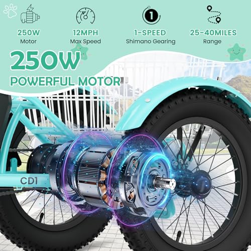 LILYPELLE Electric Tricycle for Youth, 250W Aluminum Frame
