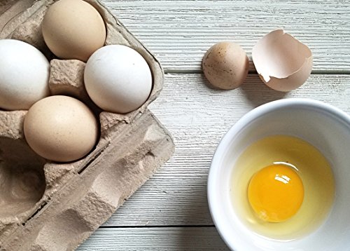 Fresh Eggs Daily Coop Kelp Organic Chicken and Duck Feed Supplement 7LB - Thumbnail 5