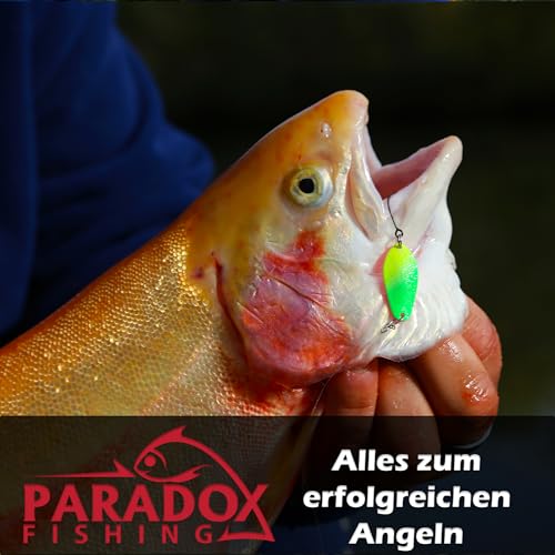 Foto von Paradox Fishing Sbirolino Set 8 Stück I (6g,10g,15g,20g) langsam sinkend (4 St.) + schwimmend (4 St.) I Set zum Forellenangeln Forellenköder Ideal für Forellenteig und Spoon Spirolino– Spoons Forelle