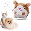 Hamster