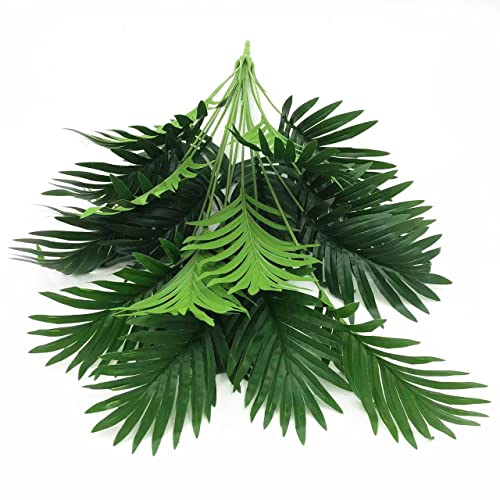 Recopilación y reviews de Planta hoja elegante para comprar online. 33 Imagen adicional