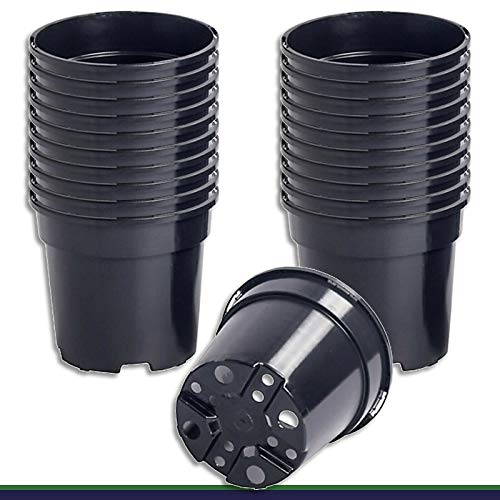 Wohnkult 100 Stück Anzuchttopf Pflanztopf 1 L schwarz Ø 13 cm x...