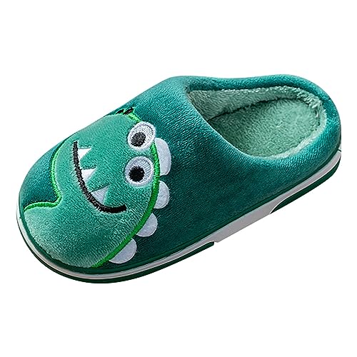 Kids Shoes Toddler Boys Girls Dinosaur House Slippers with Fleece Lining Cozy Household Shoes Non-Slip for Kids Fuzzy