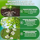 Ekukeon B0FBWH15XL lato 3