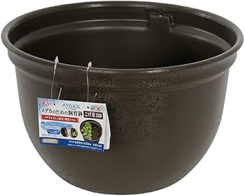 メダカ鉢火鉢40cm32cm メダカ鉢火鉢40cm32cm メダカ鉢火鉢40cm32cm メダカ鉢火鉢40cm32cm メダカ鉢火鉢40cm32cm メダカ鉢火鉢40cm32cm