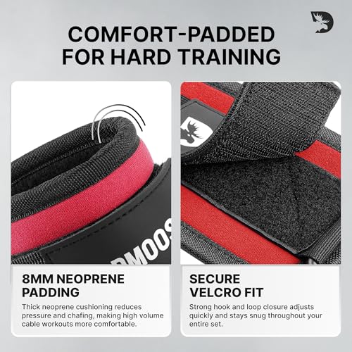 Image of DMoose Ankle Strap for Cable Machine - One Size Fit with Premium Padding, Workout Kickback Ankle Cuffs, Ankle Bands for Working Out, Booty Workouts, Leg Extension, Hip Abductors & Lower Body Exercises