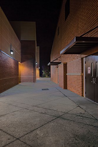 Lithonia Lighting Tws Led 1 50K 120 Pe M4 Wall Led 19W Outdoor Luminaire Light, Bronze #TOP1