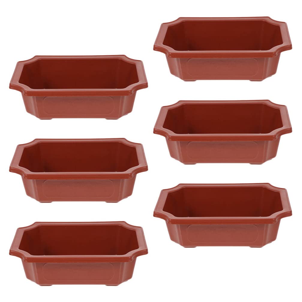 Pots de fleurs pour bonsaï ERINGOGO en plastique avec drainage lot de 6