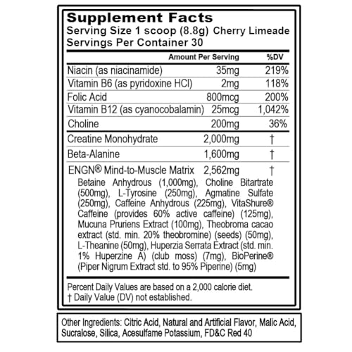 Image of Evlution EVL Intense Pre Workout with Creatine - ENGN Energizing Pre Workout for Men Powder Drink for Lasting Energy Focus and Recovery - with Beta Alanine Caffeine and L Theanine - Cherry Limeade
