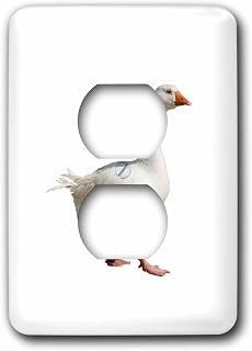 3dRose The Effortless Duck Walking Forward Cut Out - Light Switch Covers (lsp-382573-6)