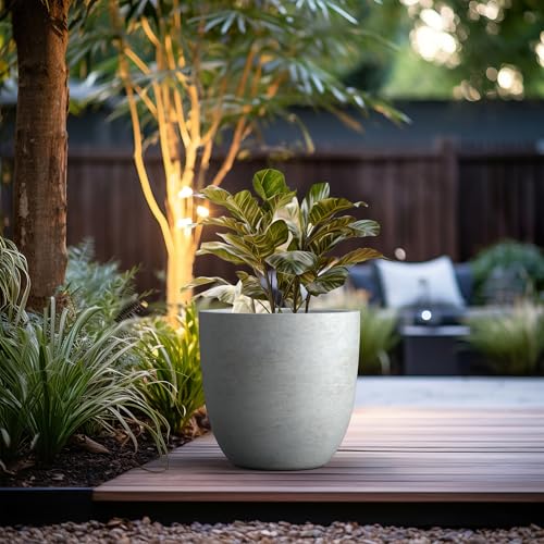 Image of Kante Large Round Bowl Pale Gray Concrete Planter 18 inch Dia, Outdoor