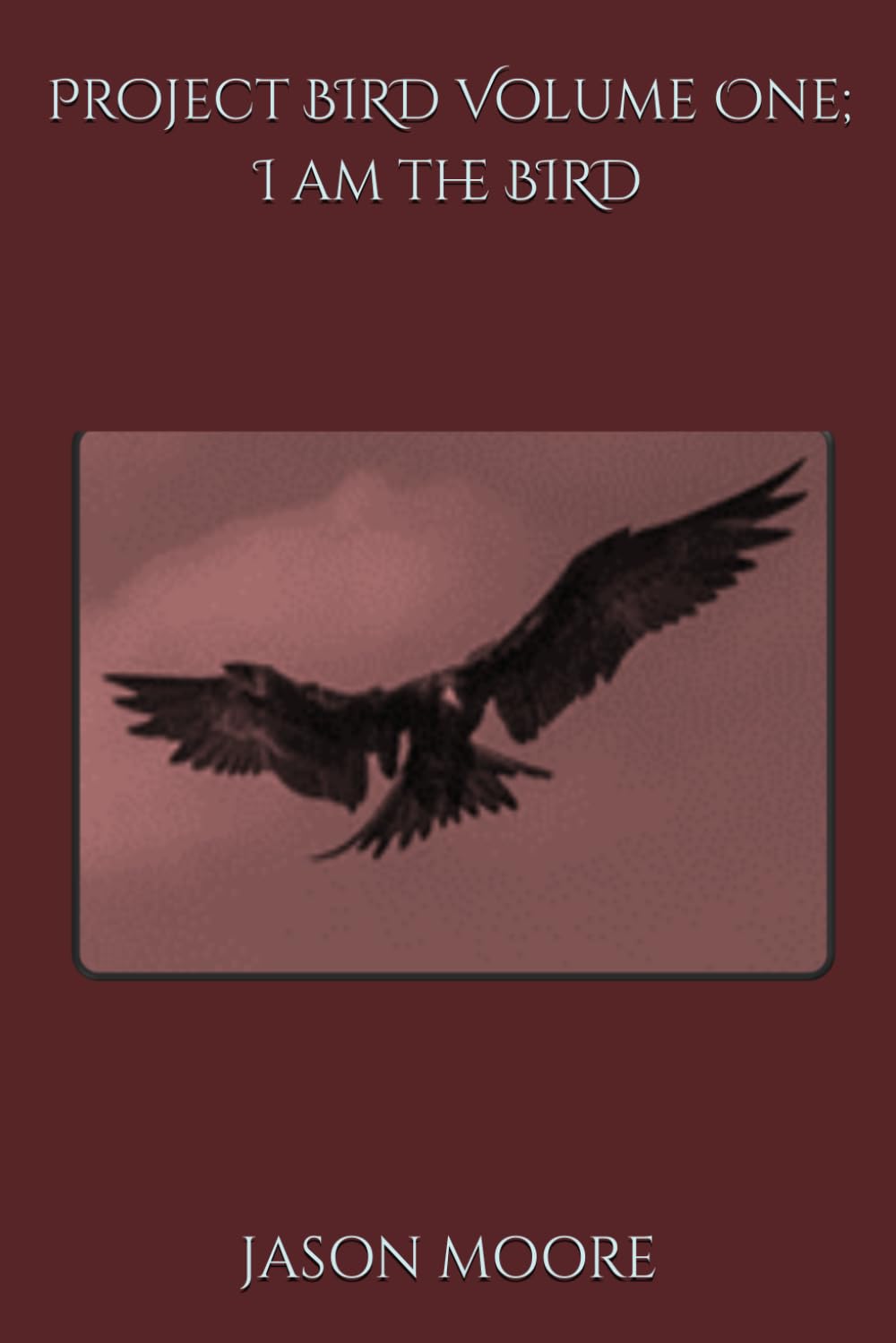 Project BIRD Volume One; I am the BIRD