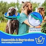 FWLWTWSS Aufblasbare Halskrause Hund & Halskrause Katze, Schutzkragen Hund mit Verstellbarer Klettverschluss, Hundekragen Leckschutz für Genesung nach Operationen oder Wunden für Hunde(Blau L)
