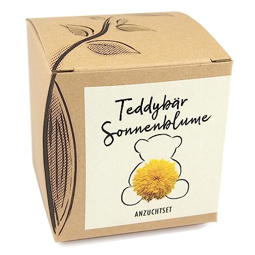Geschenk-Anzuchtset TEDDYBÄR SONNENBLUME mit mind. 15 Samen, Geschenk für Kinder und Erwachsene,...
