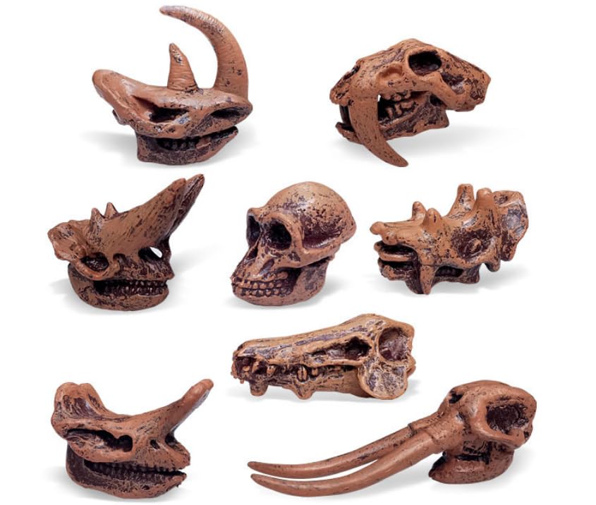 Image of 2inch Aquarium Decoration Realistic Animal Skulls Fish Tank Small Skull, Resin Skull Figurine Fish Shrimp Shelter Cave Hideout Turtle Hidden Tank Decoration,Mini Micro Landscaping Decor (8, Brown)