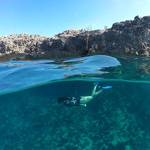 Polar Pro FiftyFifty - Cúpula para GoPro Hero 7, Hero6, Hero5, color negro