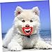 FRCOLOR 9 Pcs Toys Teeth Cleaning Dog Chews Cat Oral Cleaning Dog Pacifier Chew Toy Dog Playing Toy Dog Treat Toy Vampire Red Lip Tooth Vampire Dentures Puppy Pig Nose