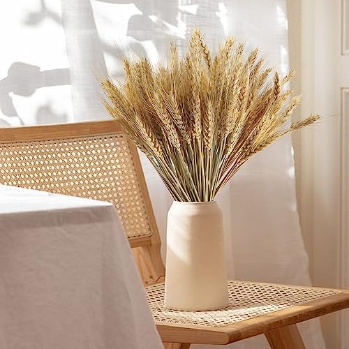 300 tallos secos de trigo para decoración 16 pulgadas miniatura 4