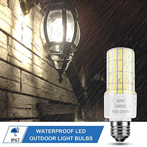 Zp 2 Pack Led Light Bulbs 5000Lm 300W Equivalent 5000K Cool Daylight White Led Bulbs E26/E27 Medium Base Led Corn Light Bulb For Outdoor Indoor Lamp Bedroom Chandelier Balcony Office Garage Warehouse #TOP3