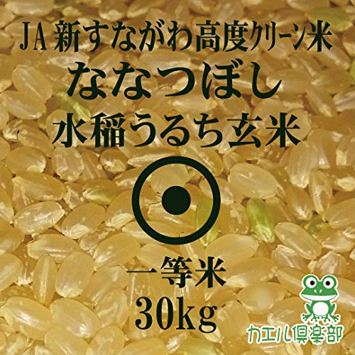 Amazon.co.jp: 北海道産 高度クリーンななつぼし 玄米 30kg 令和7年産