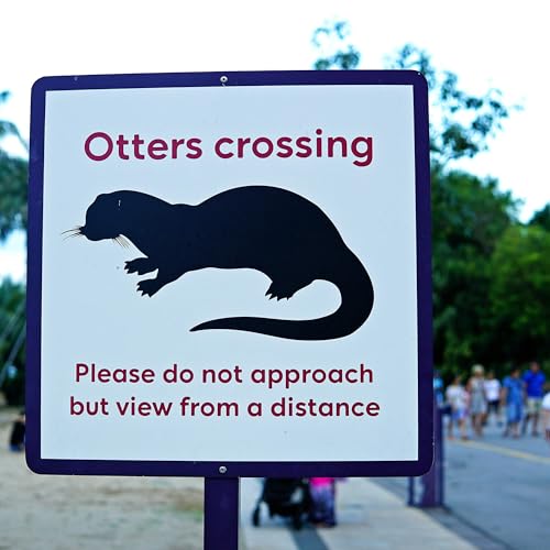 Curious stories of coexistence cover art