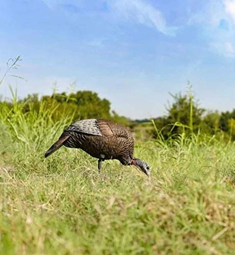 Flextone Thunder Chick Feeding Hen Decoy