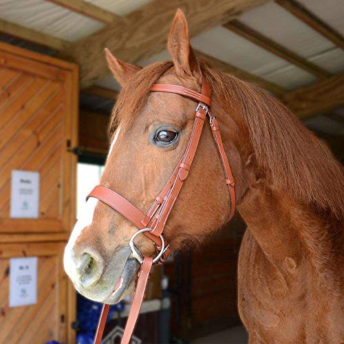 Paris Tack Classic Flat Leather English Hunt Bridle with Laced Reins